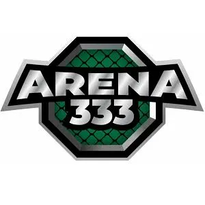 arena333 APK RPG